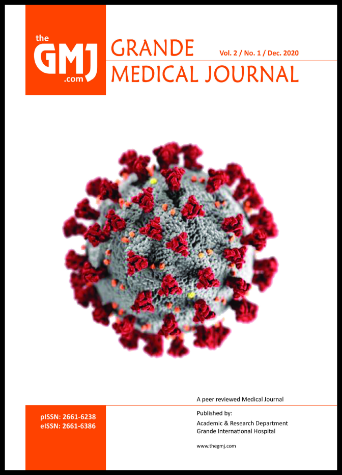 					View Vol. 2 No. 1 (2020): Grande Medical Journal (GMJ)
				