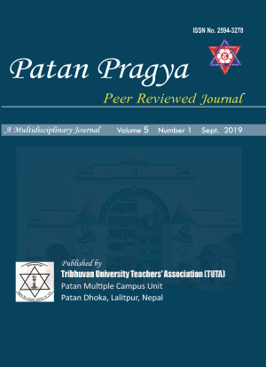 Cover Patan Pragya