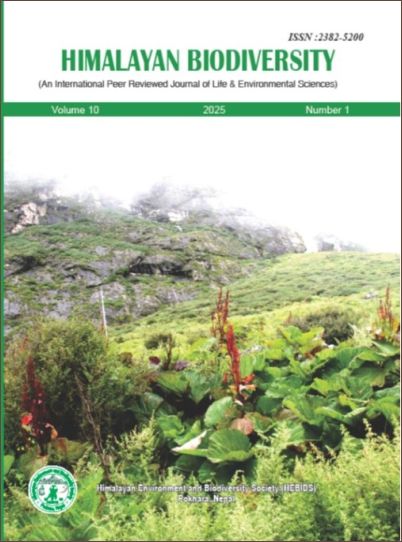 Individuals of Rheum australe in Langtang, Central Nepal